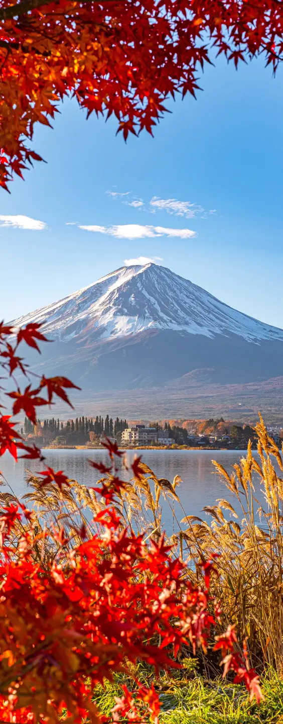 Panneau mural douche VIPANEL INSPIRATION NATURE MONT FUJI BRI. 1000x2550x3MM