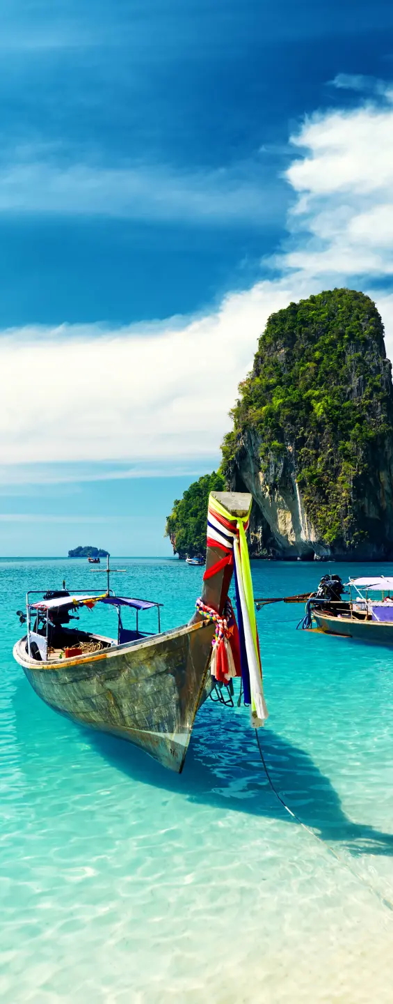 Panneau mural douche VIPANEL INSPIRATION NATURE THAILANDE BRI. 1000x2550x3MM|Revêtement pour salle de bain