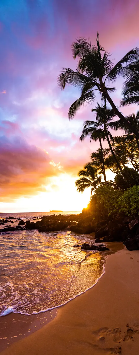 Photo Panneau mural douche NU VIPANEL INSPIRATION NATURE COUCH SOL1 BRI. 1000x2550x3MM