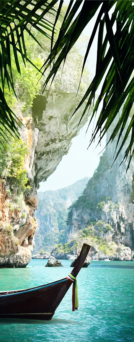 Panneau mural douche VIPANEL INSPIRATION NATURE THAILAND 2 BRI. 1000x2550x3MM|Revêtement pour salle de bain