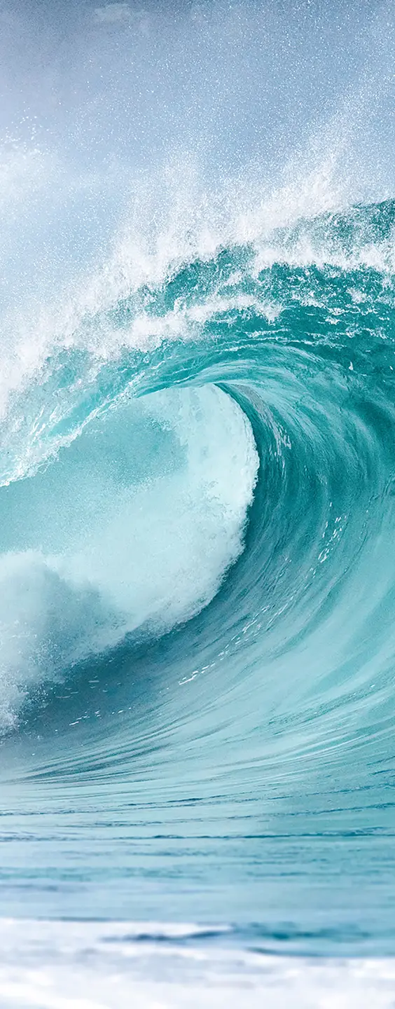 Photo Panneau mural douche NU VIPANEL INSPIRATION NATURE VAGUE BRI. 1000x2550x3MM