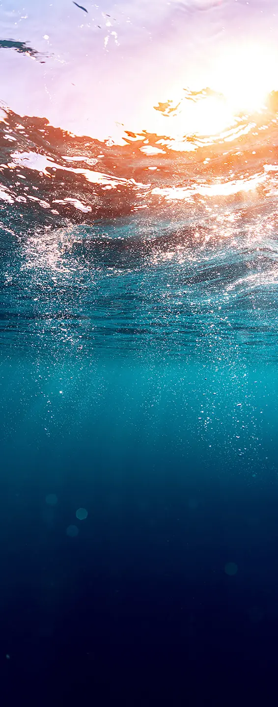 Panneau mural douche VIPANEL INSPIRATION NATURE OCÉEAN BRI. 1000x2550x3MM|Revêtement pour salle de bain