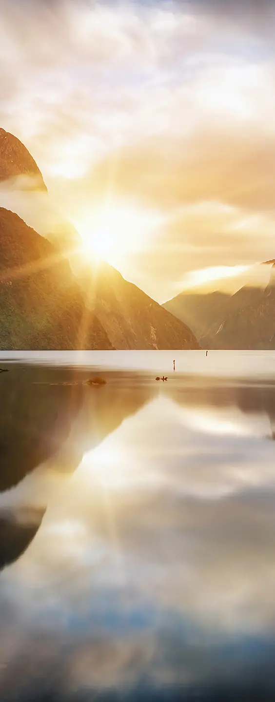 Panneau mural douche VIPANEL INSPIRATION NATURE MILFORD BRI. 1000x2550x3MM|Revêtement pour salle de bain