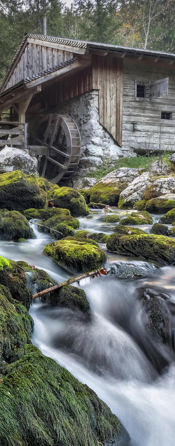 Photo Panneau mural douche NU VIPANEL INSPIRATION NATURE CABANE MON BRI. 1000x2550x3MM