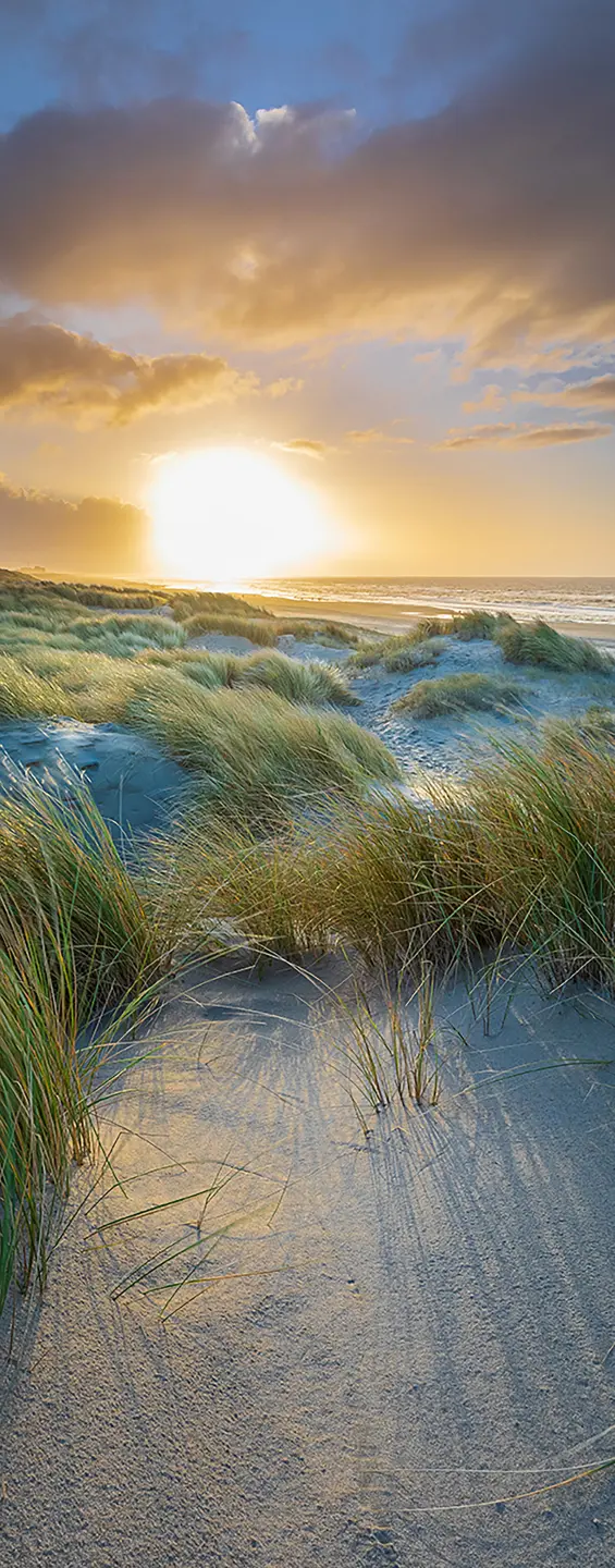 Panneau mural douche VIPANEL INSPIRATION NATURE COUCH SOL2 BRI. 1000x2550x3MM