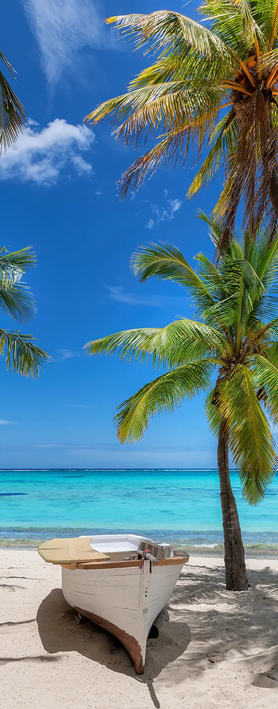 Panneau mural douche VIPANEL INSPIRATION NATURE ILE MAURIC BRI. 1000x2550x3MM