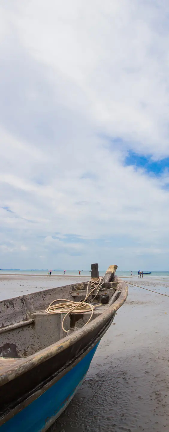 Panneau mural douche VIPANEL INSPIRATION NATURE BATEAU BRI. 1000x2550x3MM|Revêtement pour salle de bain