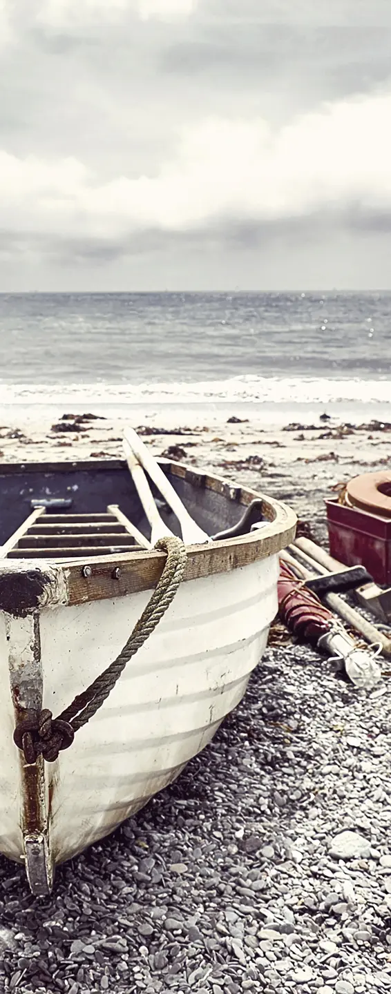 Photo Panneau mural douche NU VIPANEL INSPIRATION NATURE VX BAT PEC BRI. 1000x2550x3MM