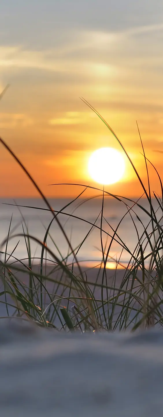 Panneau mural douche VIPANEL INSPIRATION NATURE MER DU NOR BRI. 1000x2550x3MM|Revêtement pour salle de bain