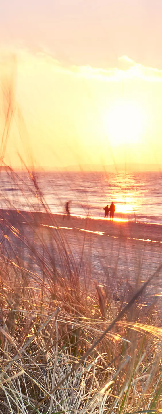 Panneau mural douche VIPANEL INSPIRATION NATURE DUNE B MER BRI. 1000x2550x3MM