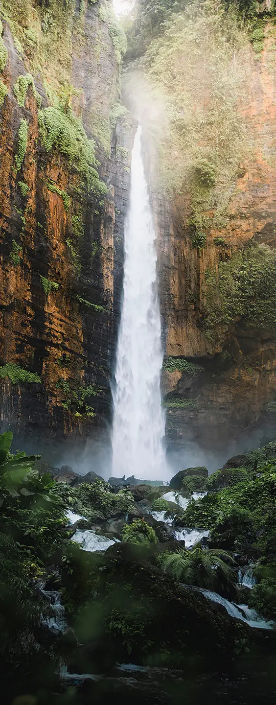 Photo Panneau mural douche NU VIPANEL INSPIRATION NATURE CHUTE JAVA BRI. 1000x2550x3MM