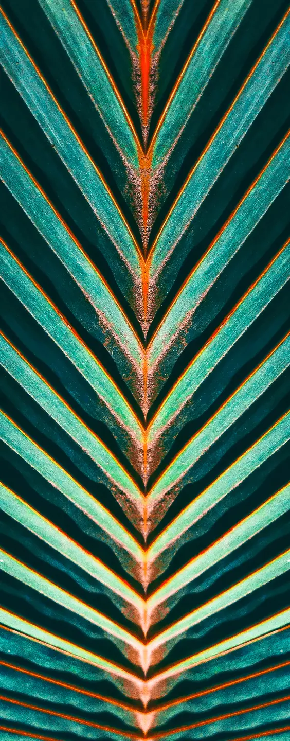 Panneau mural douche VIPANEL INSPIRATION NATURE EXOTIQUE BRI. 1000x2550x3MM