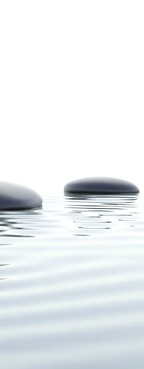 Panneau mural douche VIPANEL INSPIRATION NATURE GALETS BRI. 1000x2550x3MM