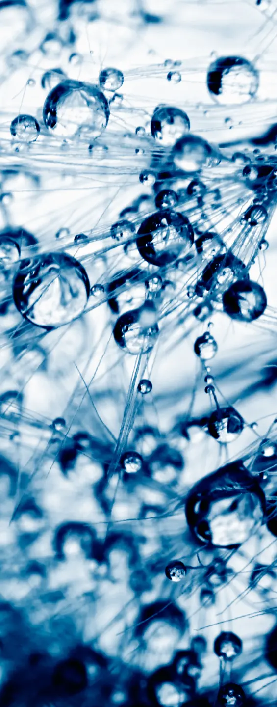 Panneau mural douche VIPANEL INSPIRATION NATURE ROSÉE MATI BRI. 1000x2550x3MM|Revêtement pour salle de bain