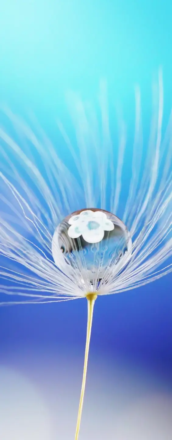 Photo Panneau mural douche NU VIPANEL INSPIRATION NATURE GOUT EAU BRI. 1000x2550x3MM