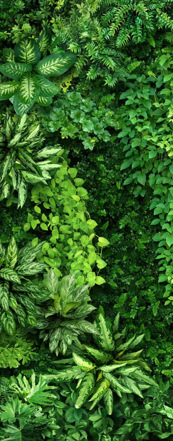 Photo Panneau mural douche NU VIPANEL INSPIRATION NATURE MUR VÉGÉTA BRI. 1000x2550x3MM