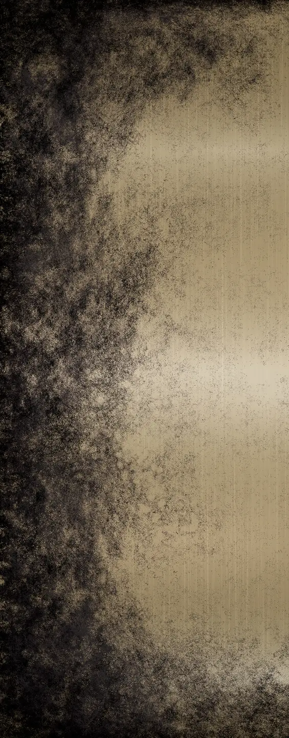 Photo Panneau mural douche NU VIPANEL VULCAIN BRUME DORÉE MAT 1000x2550x3MM