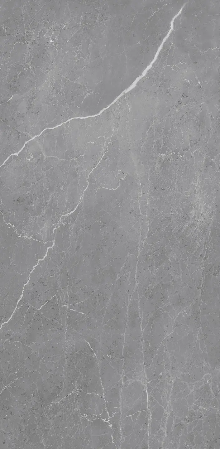 Panneau mural douche VIPANEL ARAGON ALTERNATE 1 MAT 1250x2550x3MM|Revêtement pour salle de bain