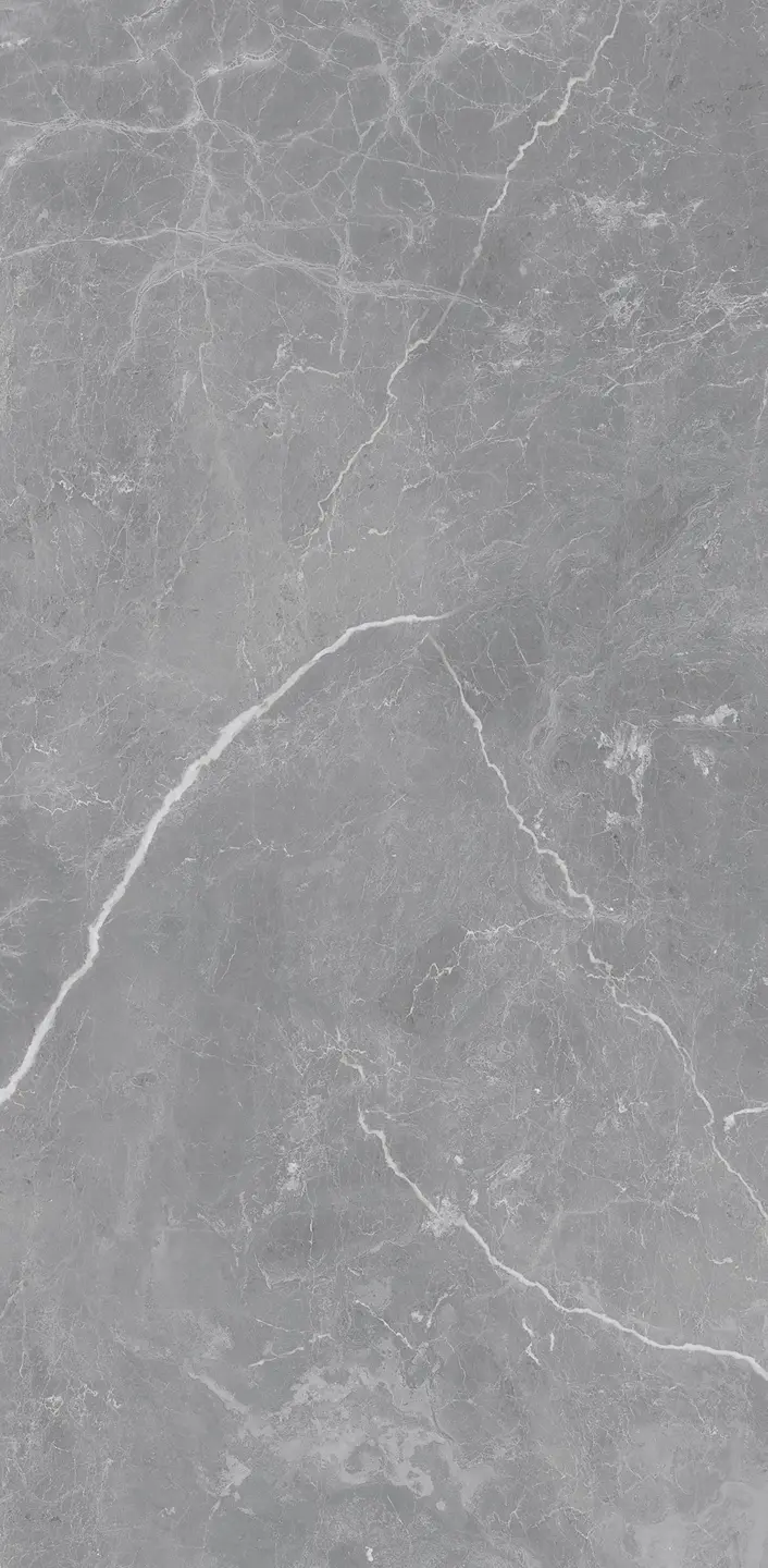 Panneau mural douche VIPANEL ARAGON ALTERNATE 2 MAT 1250x2550x3MM|Revêtement pour salle de bain