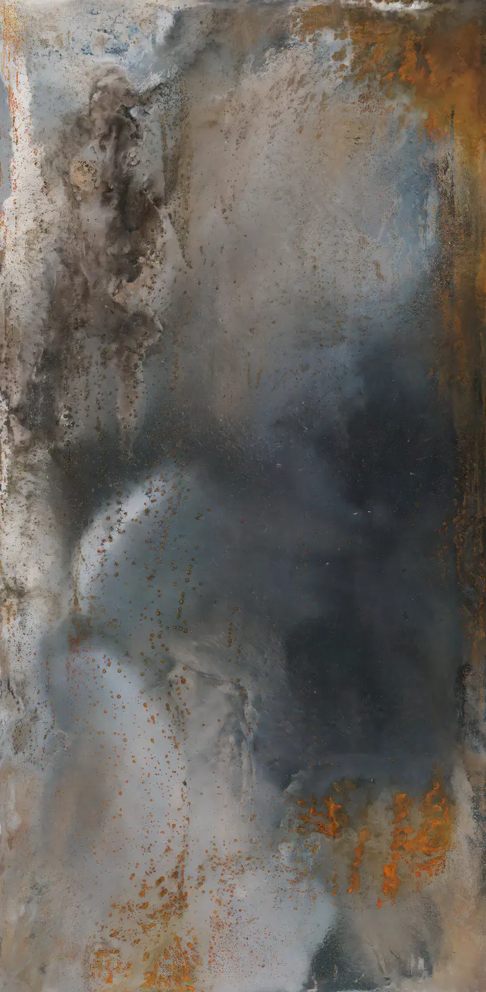 Photo Panneau mural douche VIPANEL METAL TITANE CENDRÉ 1 VEL. 1250x2550x3MM