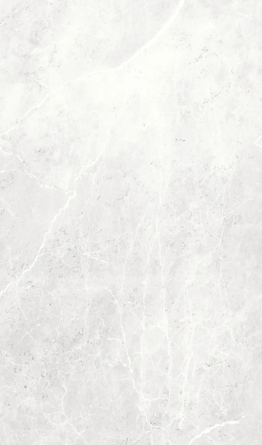 Panneau mural douche VIPANEL ARAGON GRIS BRI. 1500x2550x3MM|Revêtement pour salle de bain