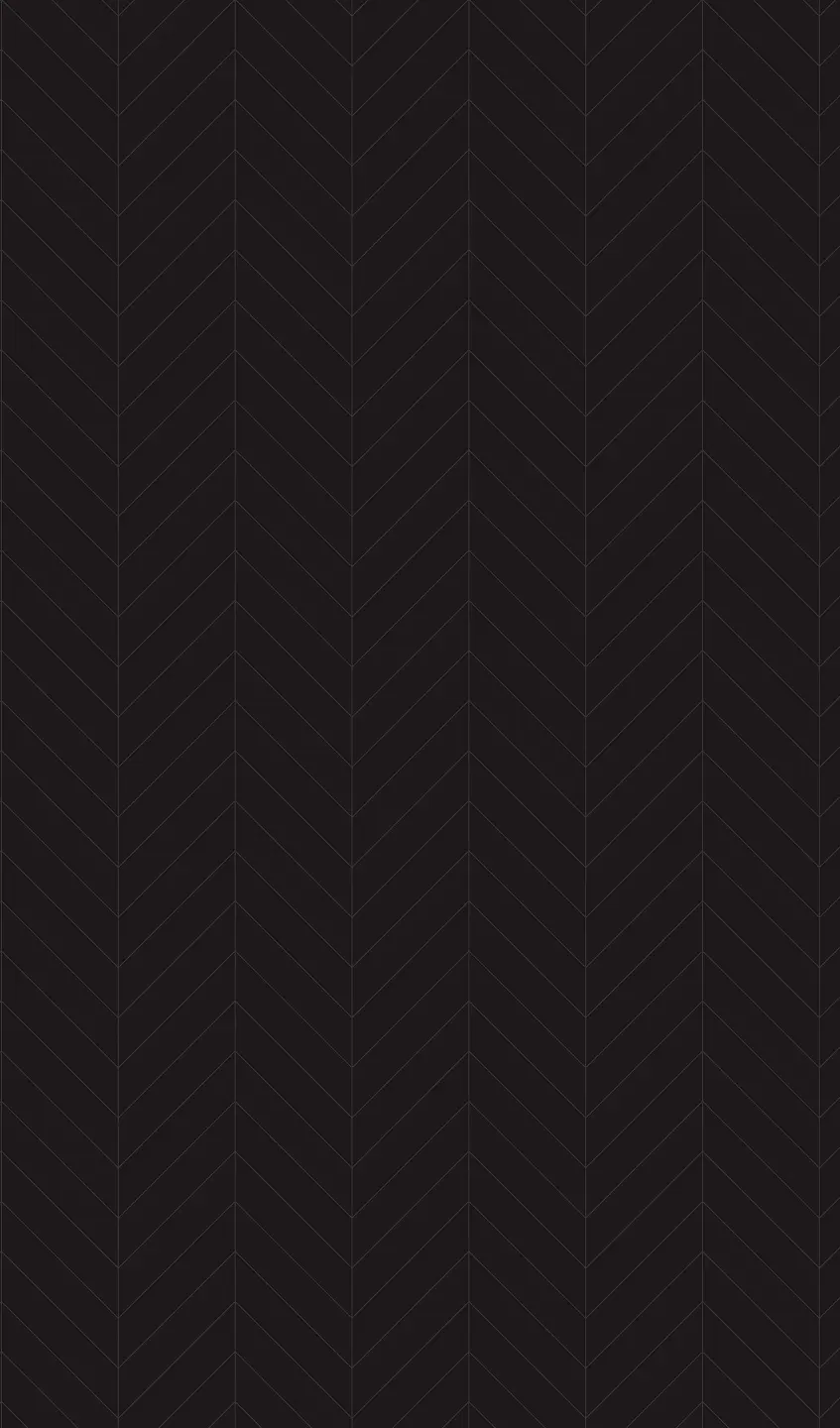 Panneau mural douche VIPANEL CARRELAGE ARRÊTES NOIRES BRI. 1500x2550x3MM