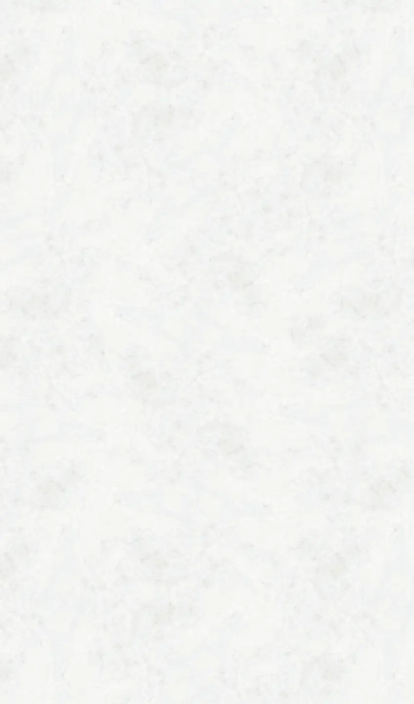 Panneau mural douche VIPANEL MARBRE BLANC MAT 1500x2550x3MM|Revêtement pour salle de bain