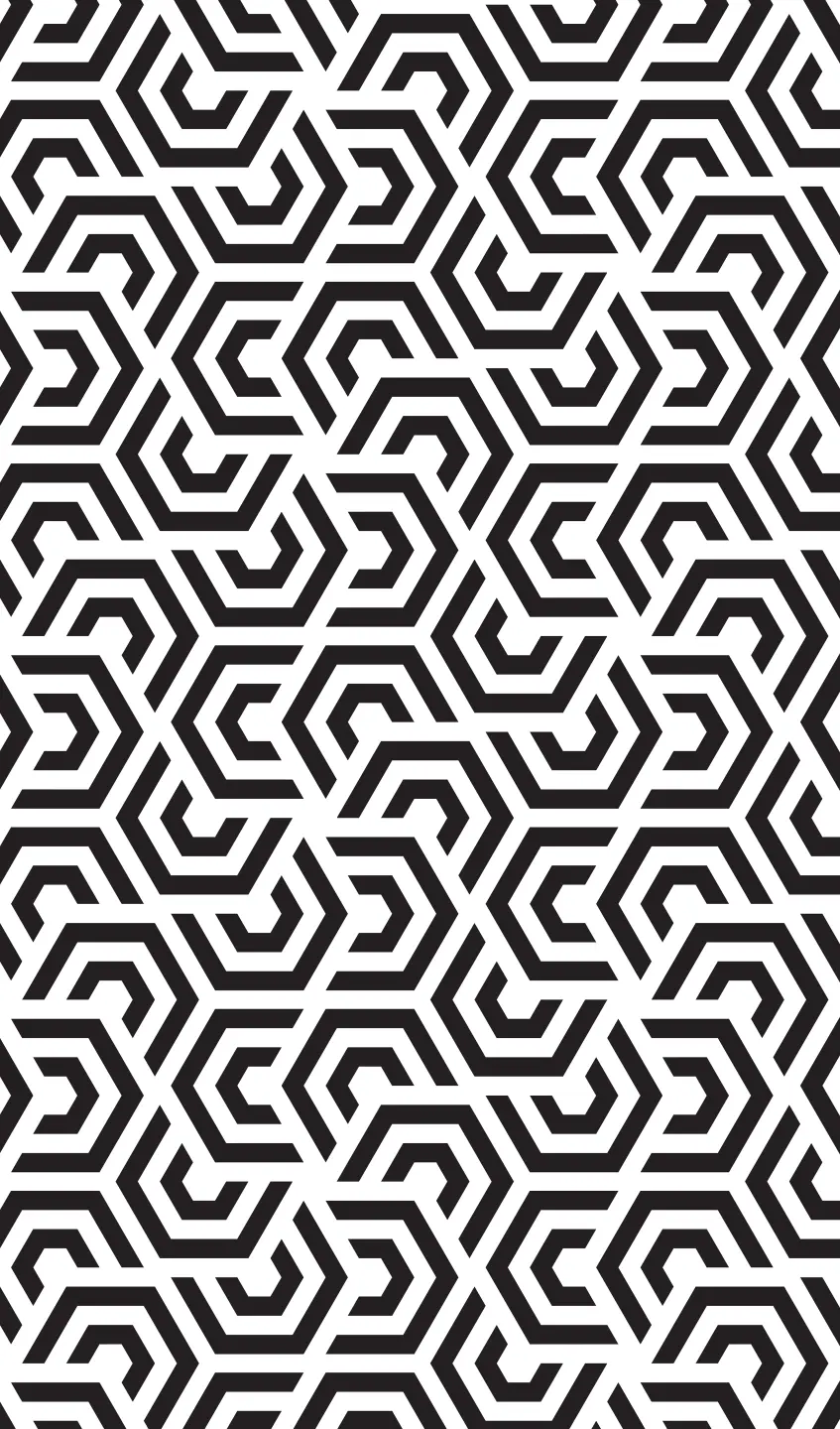 Photo Panneau mural douche NU VIPANEL MOTIF IMPRIMÉ NOIR BLANC VEL. 1500x2550x3MM