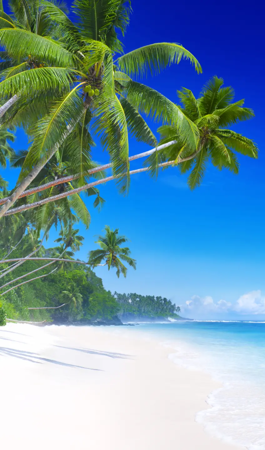 Panneau mural douche VIPANEL INSPIRATION NATURE PLAGE BRI. 1500x2550x3MM