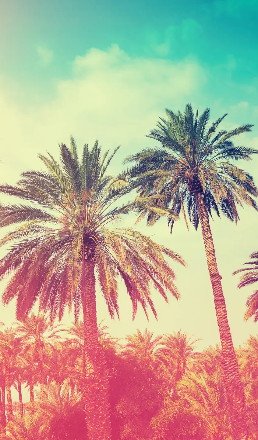 Photo Panneau mural douche NU VIPANEL INSPIRATION NATURE PALMIER BRI. 1500x2550x3MM