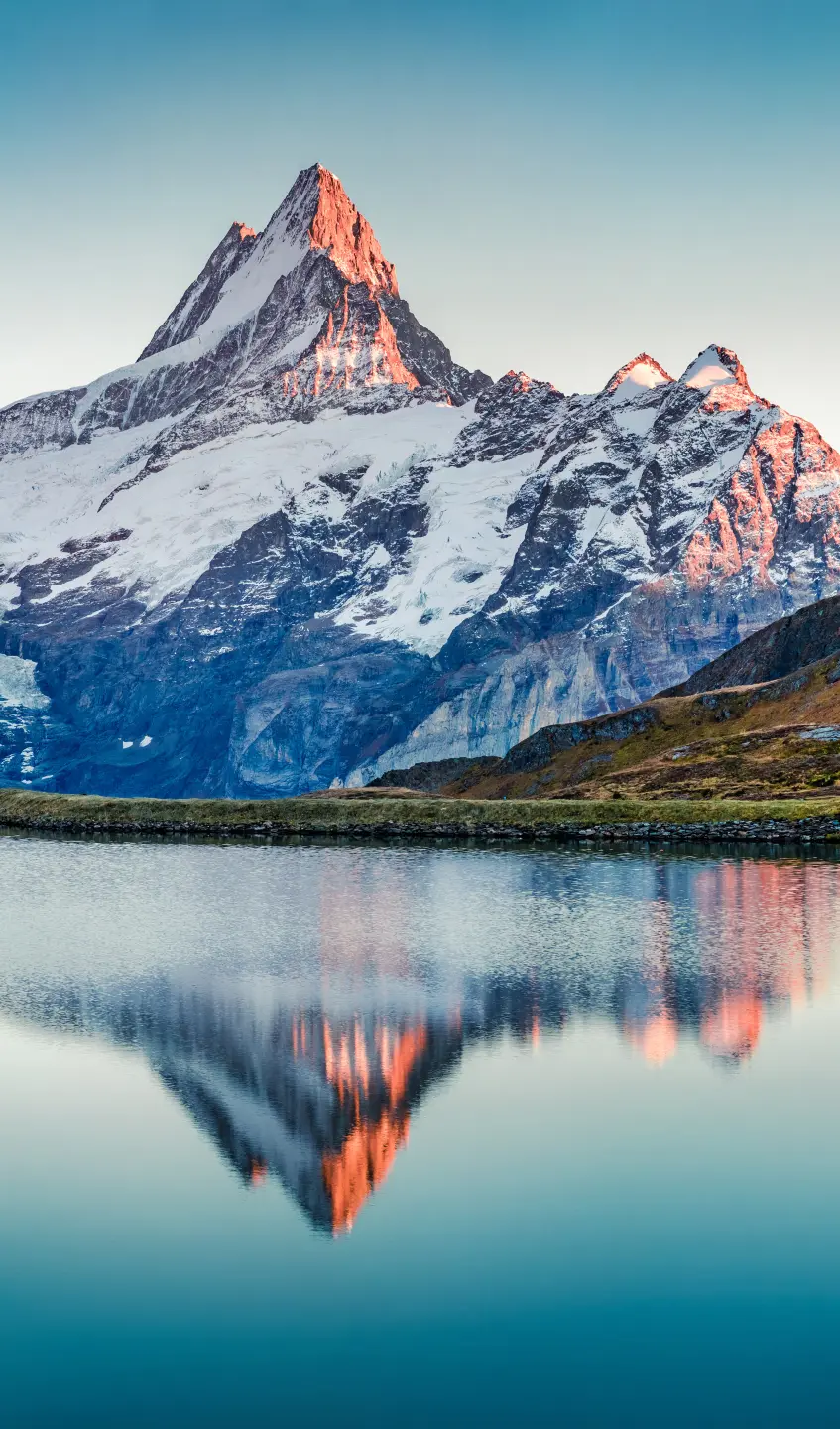 Panneau mural douche VIPANEL INSPIRATION NATURE REFLET MON BRI. 1500x2550x3MM