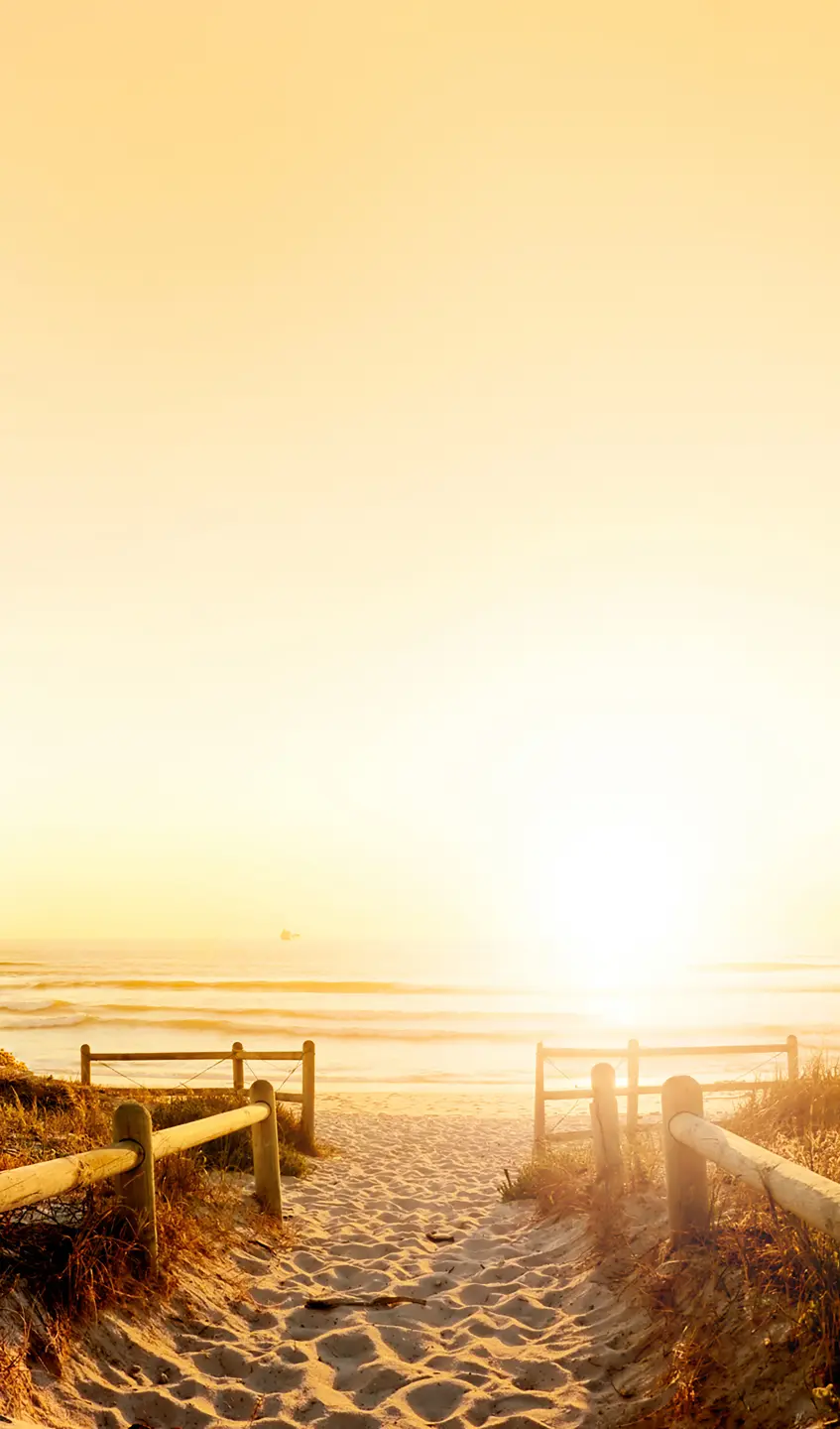 Panneau mural douche VIPANEL INSPIRATION NATURE CAPE TOWN BRI. 1500x2550x3MM