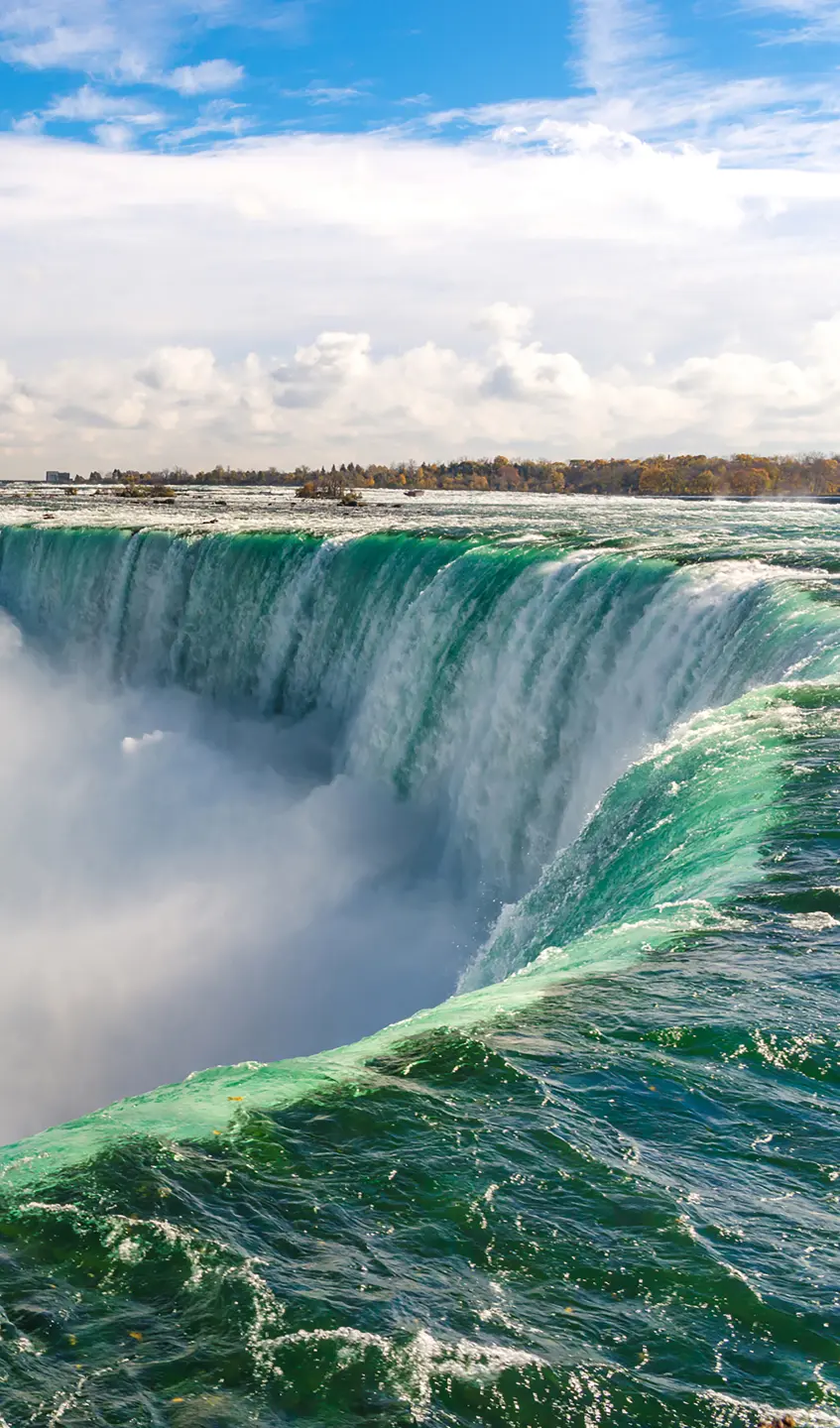 Panneau mural douche VIPANEL INSPIRATION NATURE CHUTE NIAG BRI. 1500x2550x3MM