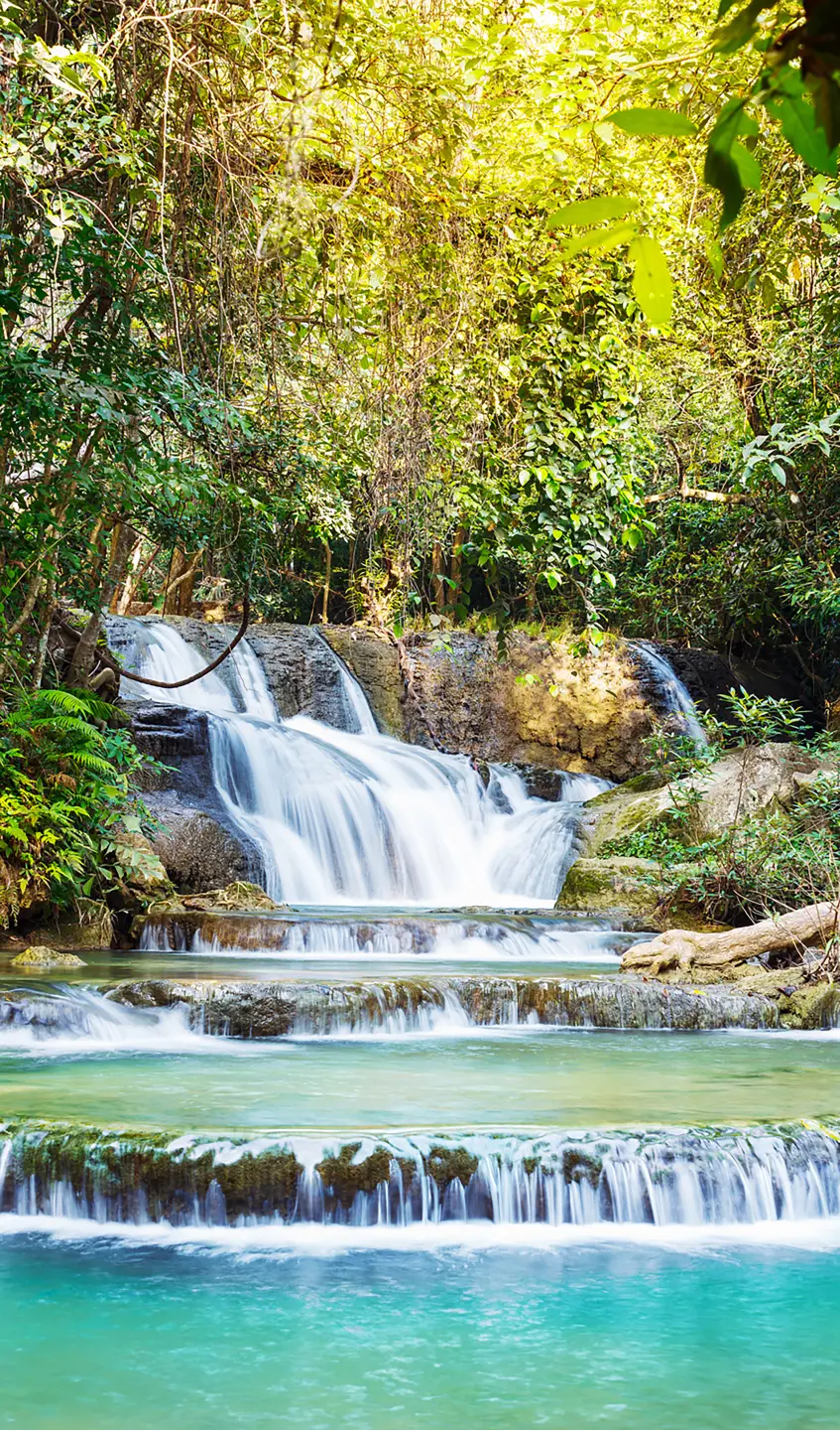 Panneau mural douche VIPANEL INSPIRATION NATURE CHUTE EAU1 BRI. 1500x2550x3MM