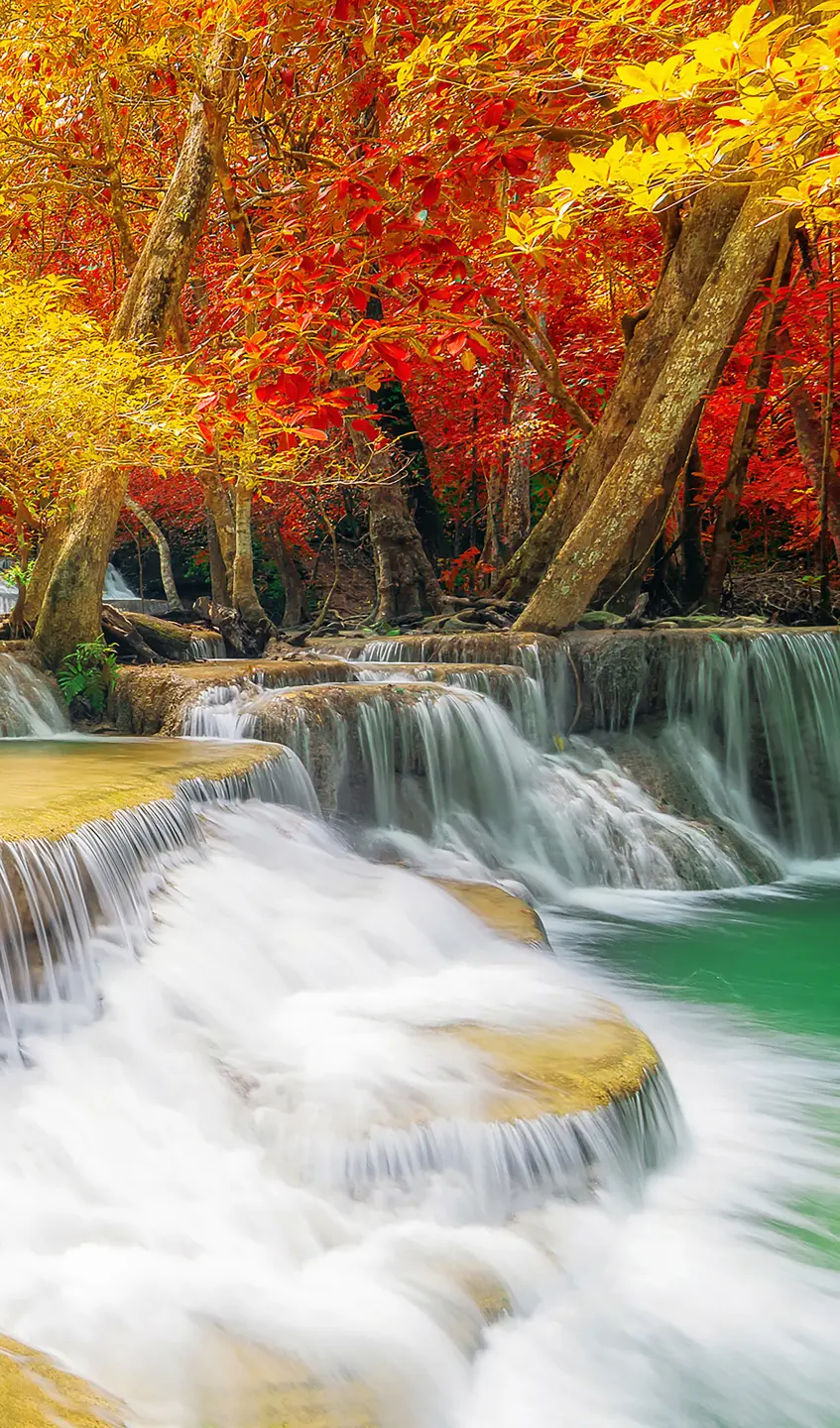 Photo Panneau mural douche NU VIPANEL INSPIRATION NATURE CHUTE EAU3 BRI. 1500x2550x3MM