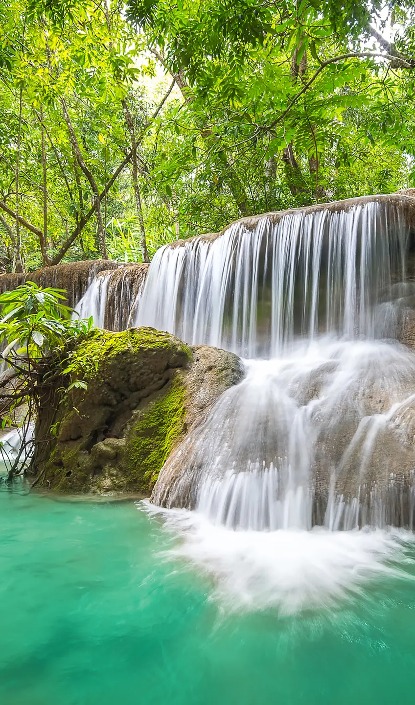 Panneau mural douche VIPANEL INSPIRATION NATURE CHUTE EAU4 BRI. 1500x2550x3MM|Revêtement pour salle de bain