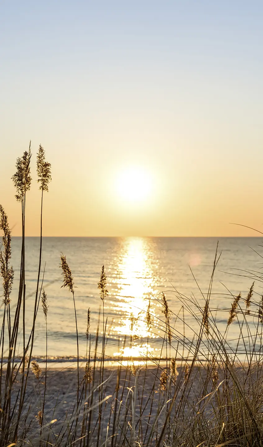 Panneau mural douche VIPANEL INSPIRATION NATURE LEVER SOL BRI. 1500x2550x3MM