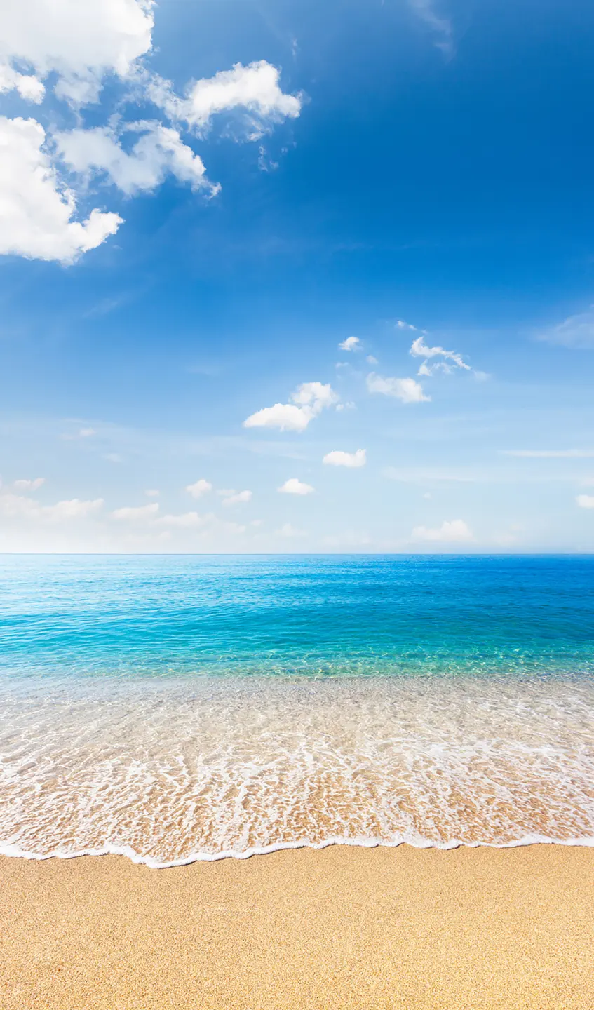 Panneau mural douche VIPANEL INSPIRATION NATURE MER 1 BRI. 1500x2550x3MM|Revêtement pour salle de bain