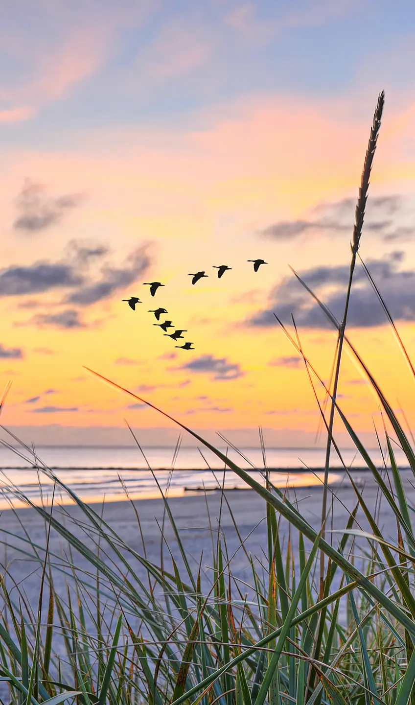 Photo Panneau mural douche NU VIPANEL INSPIRATION NATURE MER2 BRI. 1500x2550x3MM