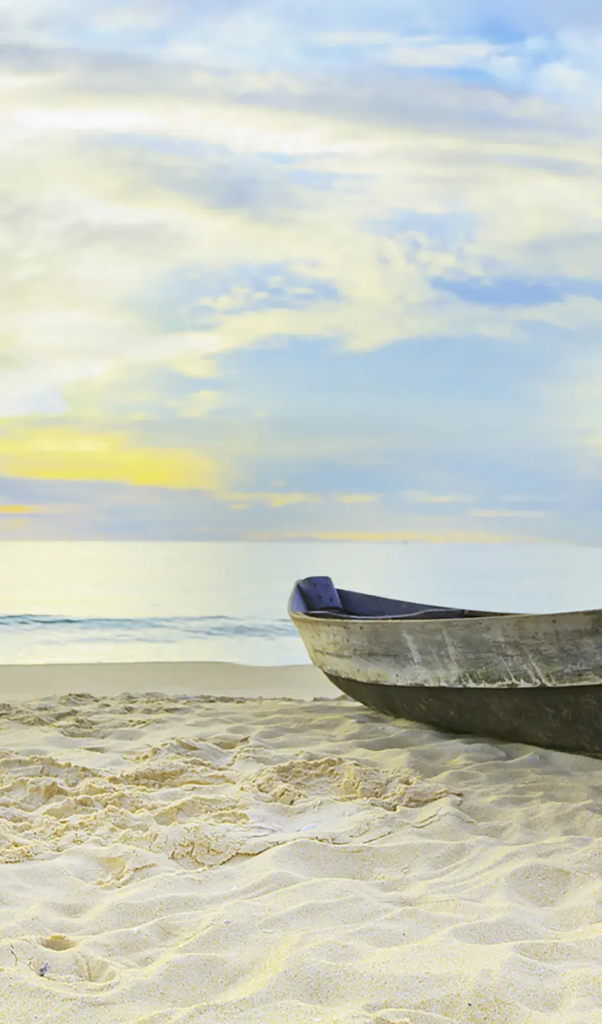 Photo Panneau mural douche NU VIPANEL INSPIRATION NATURE BATEAU PÊC BRI. 1500x2550x3MM