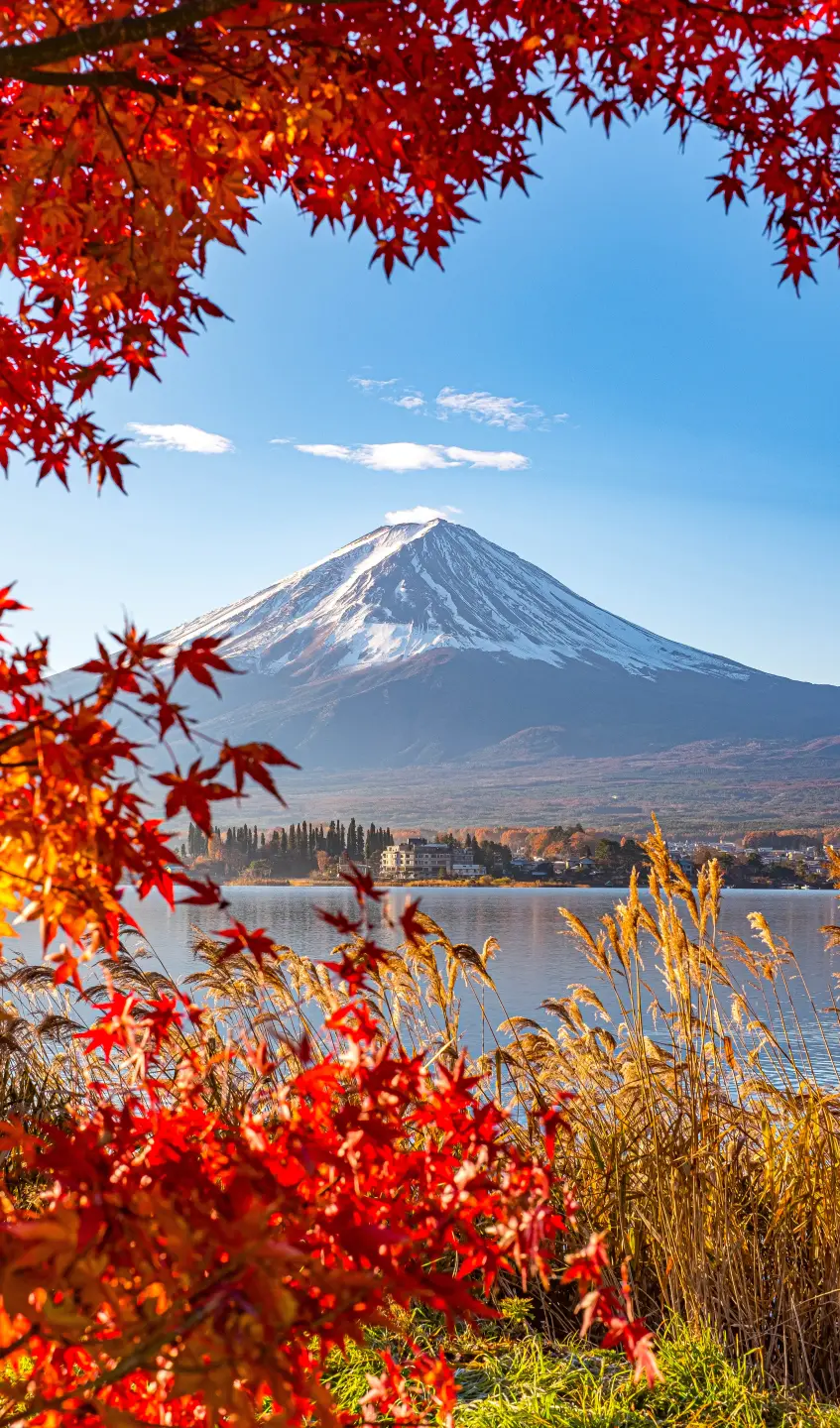 Photo Panneau mural douche NU VIPANEL INSPIRATION NATURE MONT FUJI BRI. 1500x2550x3MM