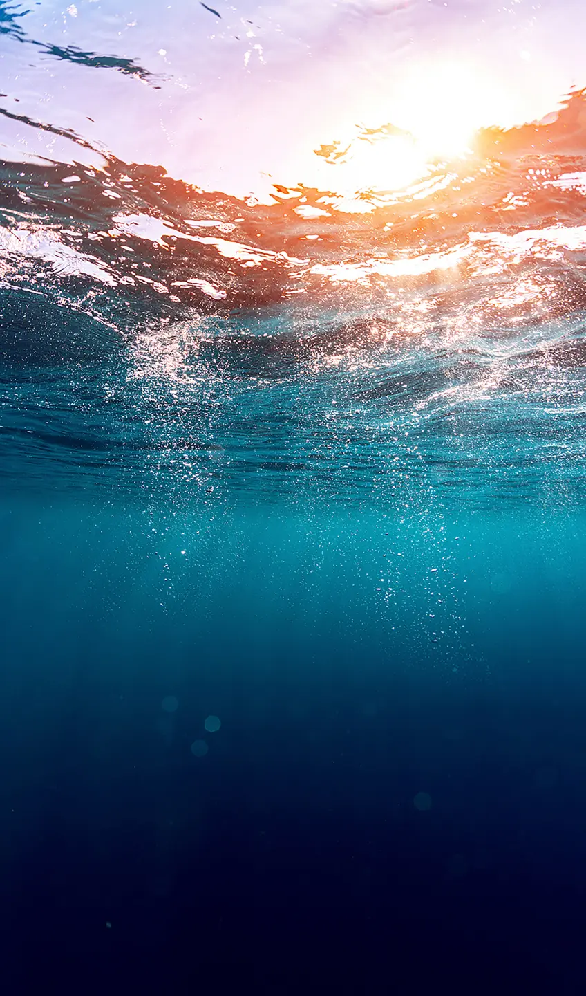 Photo Panneau mural douche NU VIPANEL INSPIRATION NATURE OCÉEAN BRI. 1500x2550x3MM