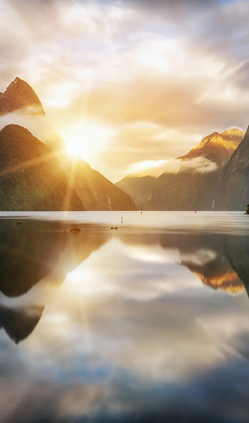 Panneau mural douche VIPANEL INSPIRATION NATURE MILFORD BRI. 1500x2550x3MM