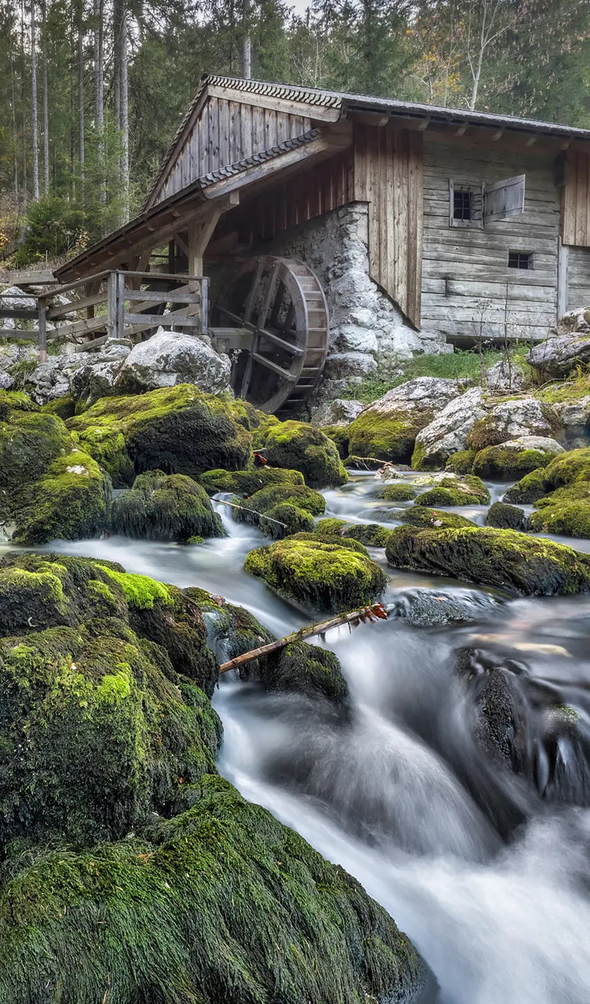 Photo Panneau mural douche NU VIPANEL INSPIRATION NATURE CABANE MON BRI. 1500x2550x3MM