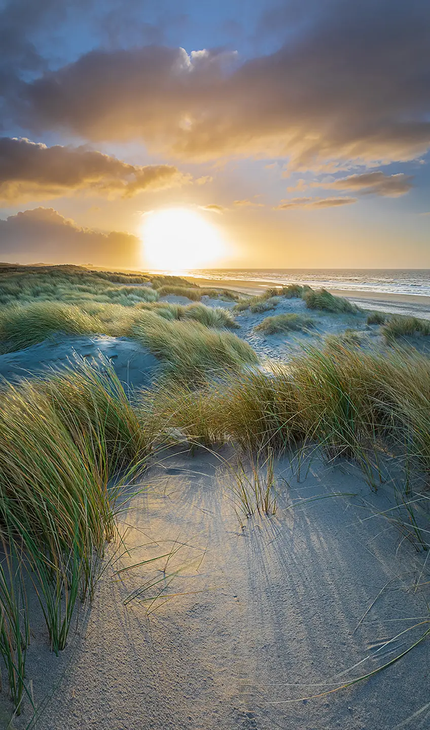 Photo Panneau mural douche NU VIPANEL INSPIRATION NATURE COUCH SOL2 BRI. 1500x2550x3MM