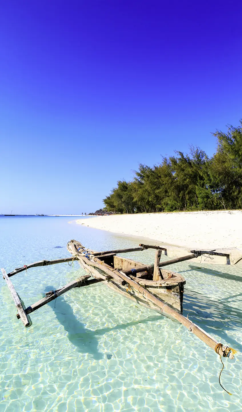 Photo Panneau mural douche NU VIPANEL INSPIRATION NATURE BT PÊC TRO BRI. 1500x2550x3MM