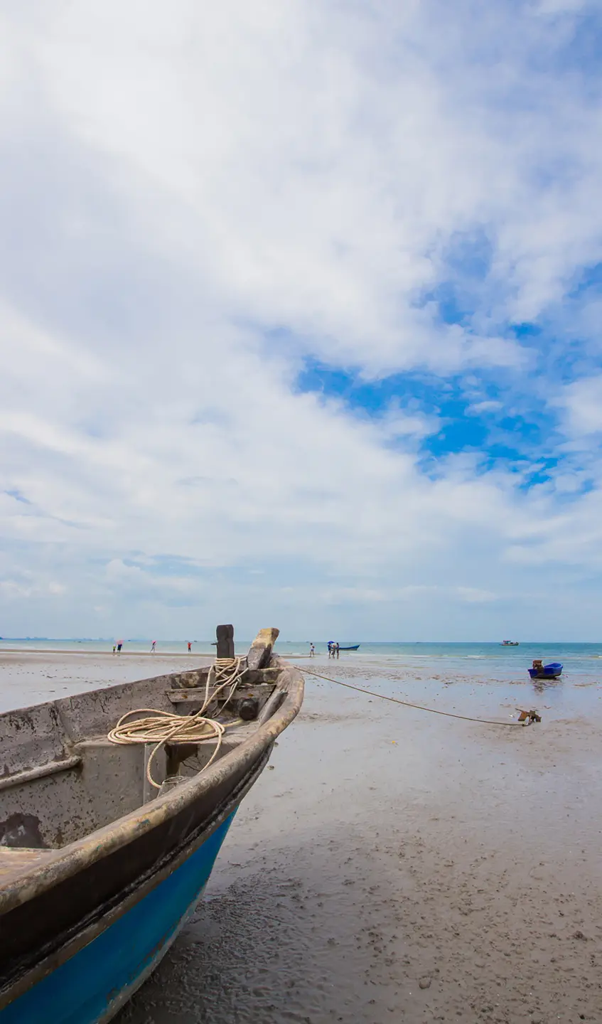 Panneau mural douche VIPANEL INSPIRATION NATURE BATEAU BRI. 1500x2550x3MM