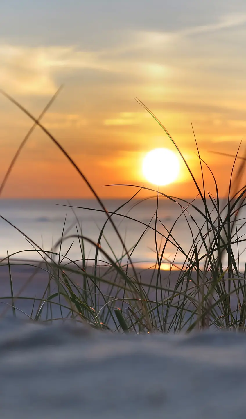 Panneau mural douche VIPANEL INSPIRATION NATURE MER DU NOR BRI. 1500x2550x3MM