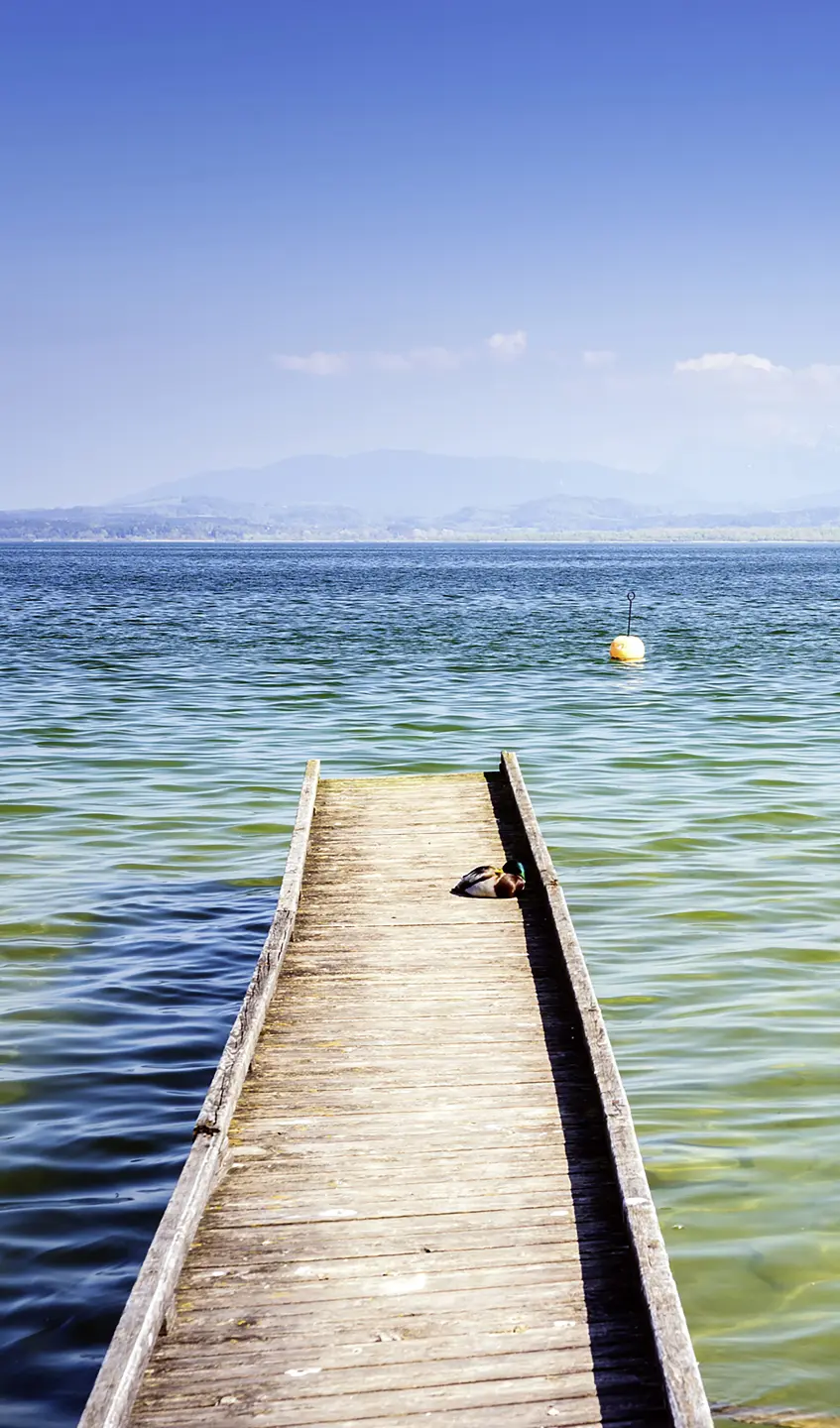 Photo Panneau mural douche NU VIPANEL INSPIRATION NATURE JETÉE BRI. 1500x2550x3MM