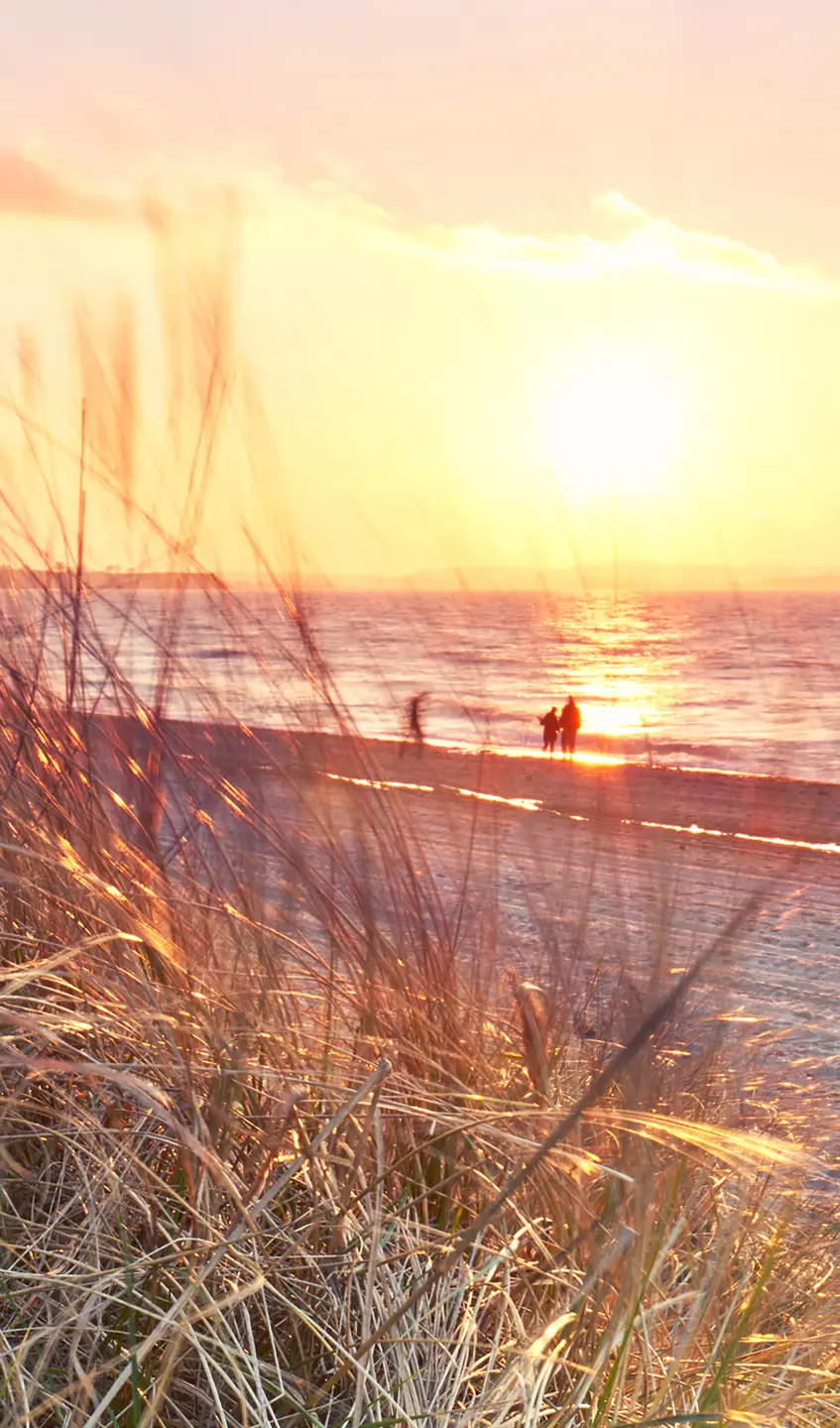 Panneau mural douche VIPANEL INSPIRATION NATURE DUNE B MER BRI. 1500x2550x3MM|Revêtement pour salle de bain